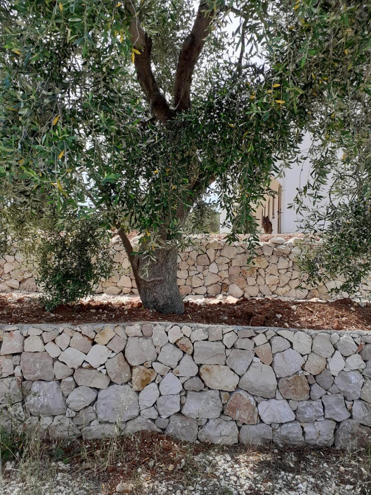 Borgo Rosoli Vieste Exterior foto